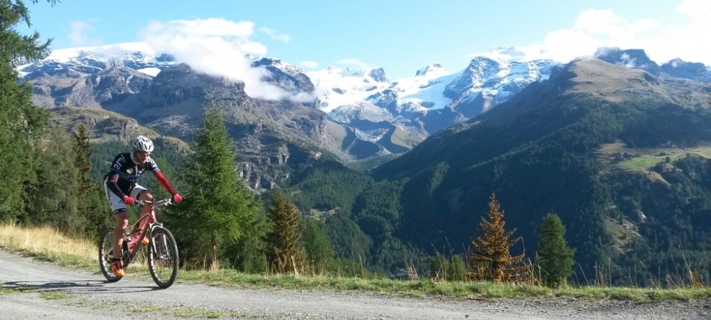 Scopri di più sull'articolo Mountain Bike in Val d’Ayas