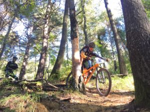 Scopri di più sull'articolo Giornata al Bike Park di Caldirola